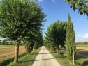 , een van onze vakantiehuizen in Toscane