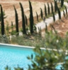 Tenuta Poggibonsi 2,3,4,5,6,7 pers, een van onze vakantiehuizen in Toscane